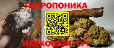 тгк Моздок