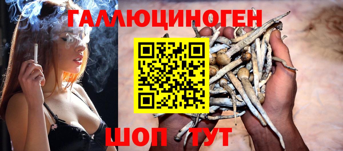 Галлюциногенные грибы мицелий Химки