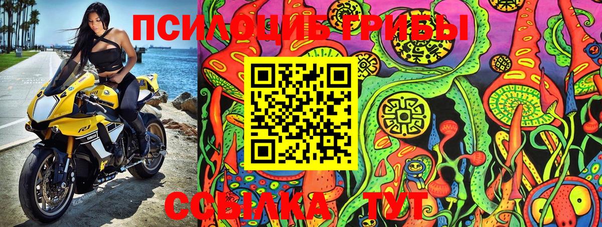 Галлюциногенные грибы Magic Shrooms  Вход с VPN  Галлюциногенные грибы MAGIC MUSHROOMS  Химки 